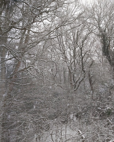 Snow Photos