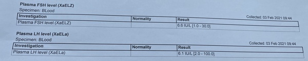 What do blood tests mean?