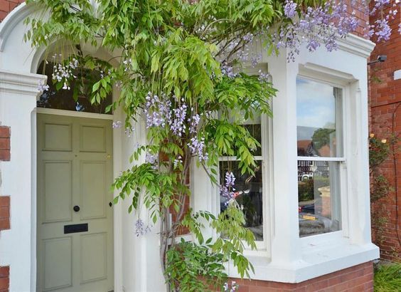 Victorian house, masonry paint - which white?