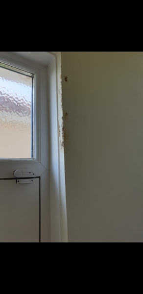 Damp Help