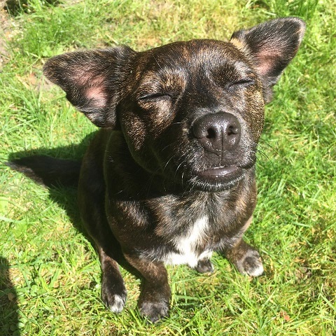 Let’s have a pet picture thread