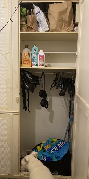 With no parents as a child to help me to learn cleaning/ organisational/ budgeting skills, my home has become horrific and I am hoping someone has tips please? Possible TW in my background