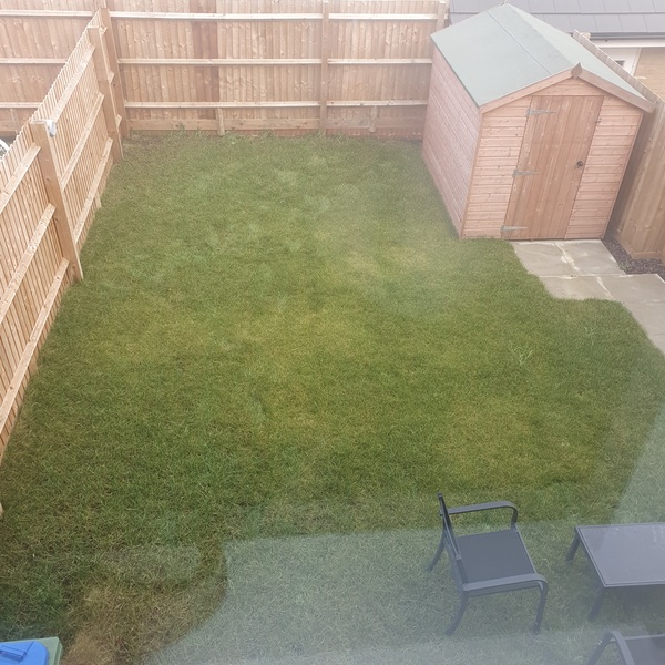 Please help me do something with my boring New Build garden!