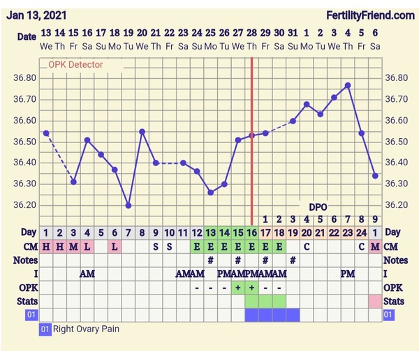 9DPO Symptom Spotting