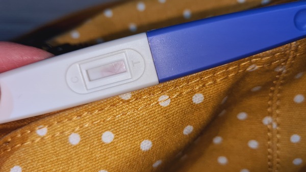Ovulation due 27th January / Period due 10th February
