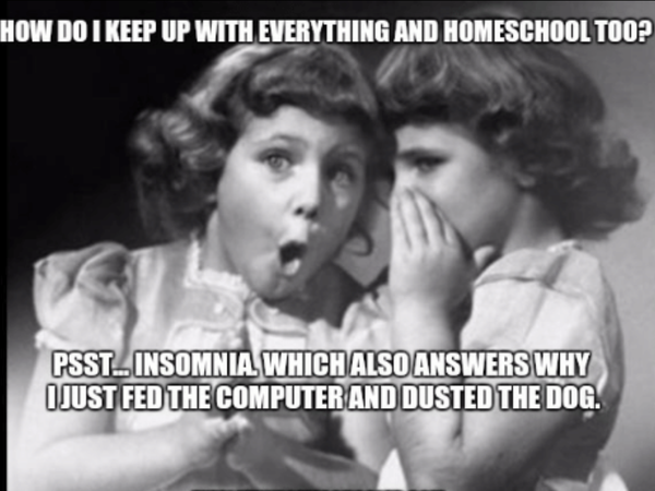 Homeschooling is impossible- end of my tether