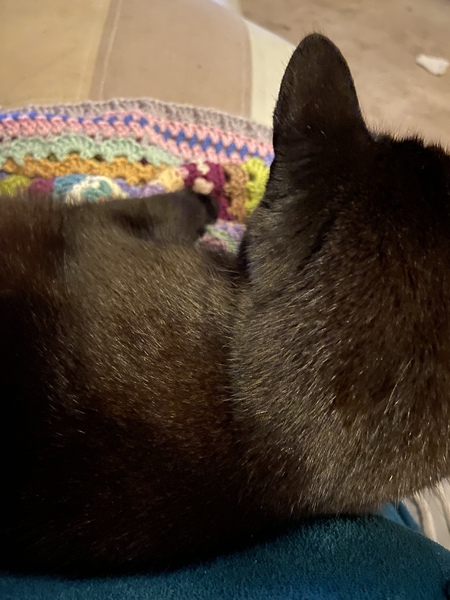 Knit, Crochet and Natter 3: Is it really still January?!