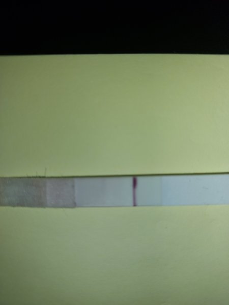 I tinkered with a test and caused an evap line, right?