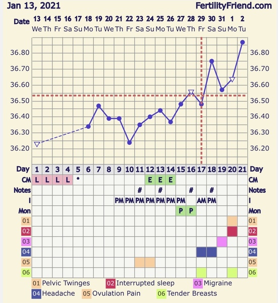 New Cycle starting 13/01/21