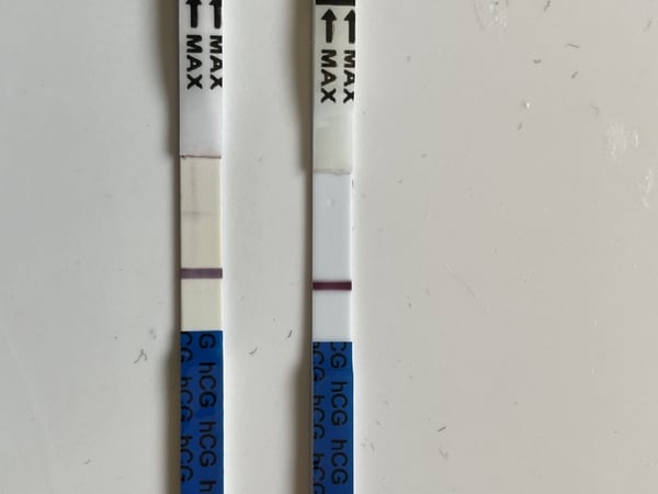 Yogurt pot yuppies, sexy basters and UFO discs - part 3