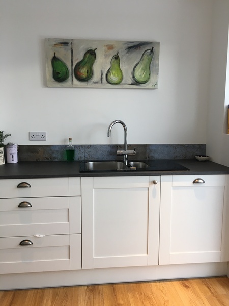 Stainless steel sink with glass surround and drainer - has anyone had one of these?