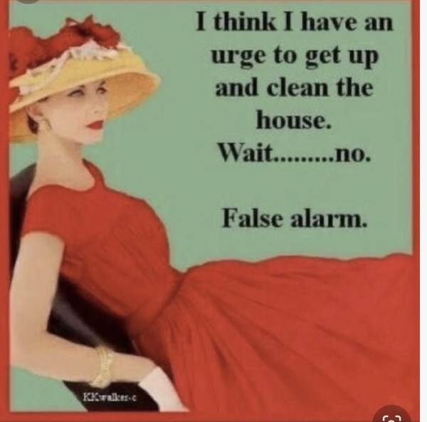 To think cleaning the house takes a really long time
