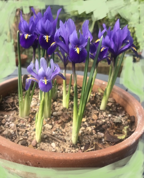 Les Parisiennes des Mamansnet: "You gotta have style. It helps you get down the stairs." - Diana Vreeland