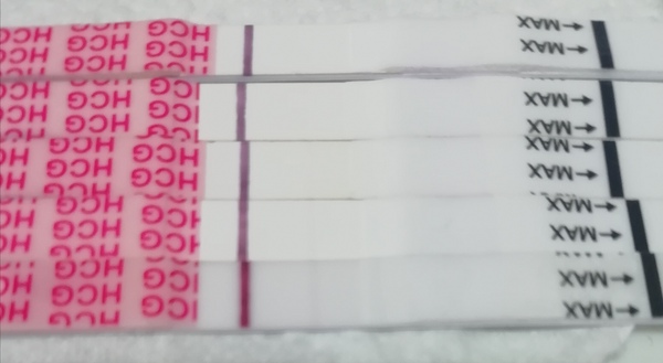 BFN to BFP! My progression 8dpo to 12dpo on easy at home!