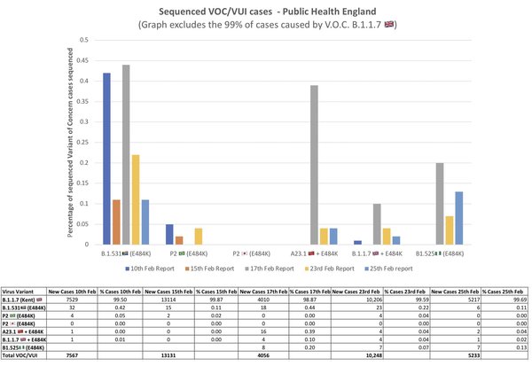 Surge testing for the South Africa variant - what happened to the results?