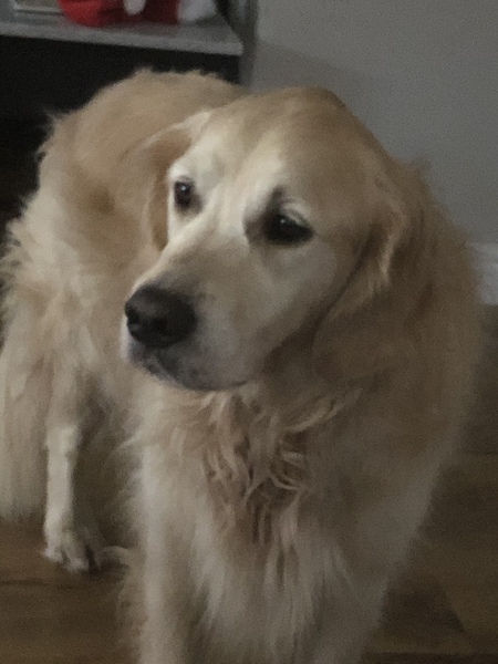 Week 3 - Jan '21 Low Carb Bootcamp - time for Light?