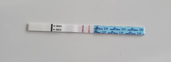 CD1 (again!) - No more relaxed approach..