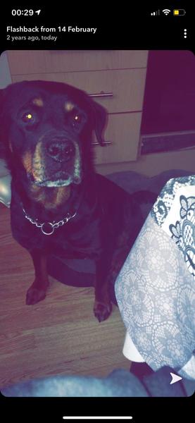 Let’s have a pet picture thread