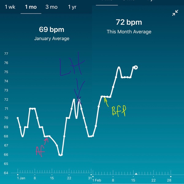 Tracking your cycle and possible BFP using RHR - part 5