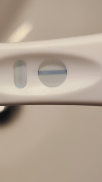 Ovulation due 27th January / Period due 10th February
