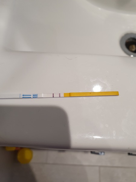 2nd Miscarriage in a Row