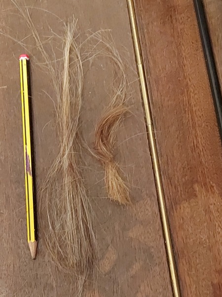 I cut my hair last night whilst drunk