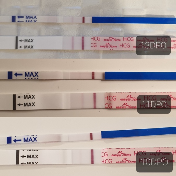 Impatient TTC - Thread 3..or 4?