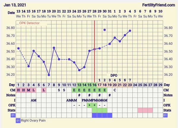 9DPO Symptom Spotting