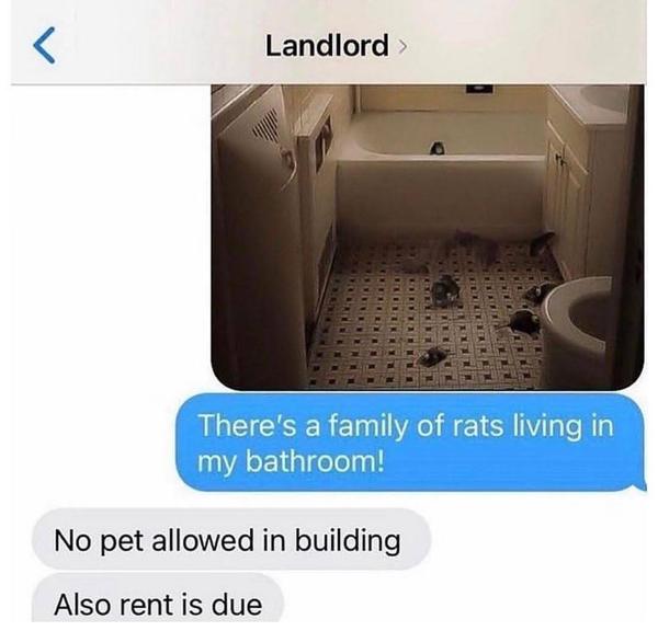 Anyone sat waiting for property to come on the market?