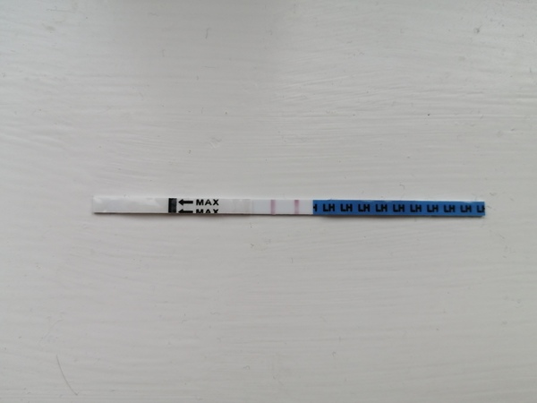 Chemical Pregnancy and ovulating straight after?