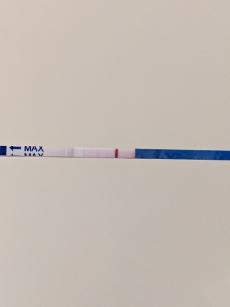 Ovulation due 27th January / Period due 10th February