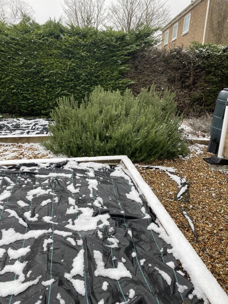 Week 4 - Low Carb Bootcamp - how much chatting?!