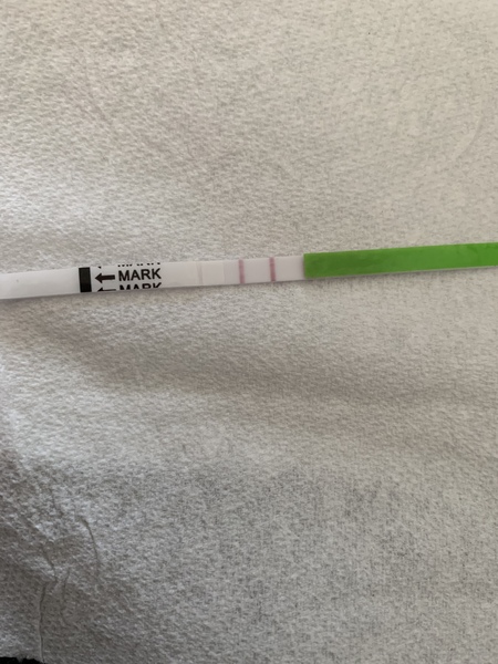 Is this a positive opk??