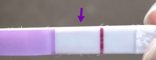 Anyone else 12dpo