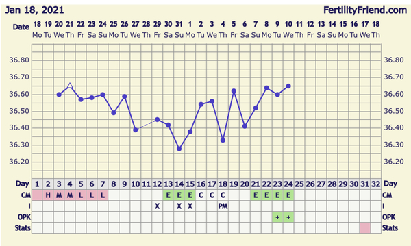 Can someone check my BBT chart?