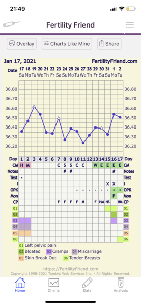Feb Bus 2021 - no more TRYING to conceive, let's blimin do this!