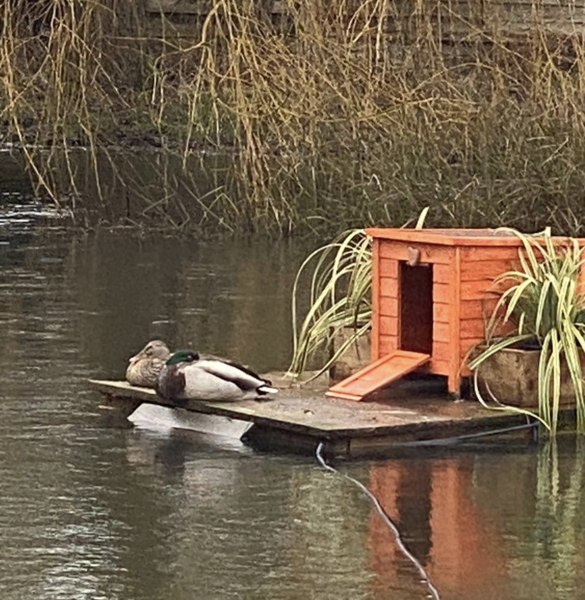 NOT what I expected to wake up to this morning...