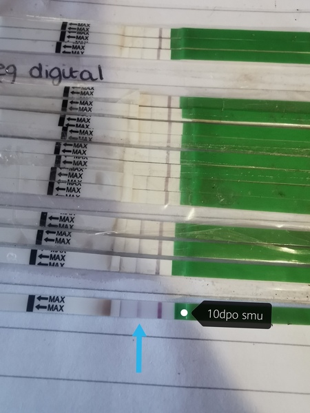 Anyone 3-6dpo and want to share ridiculous symptom spotting / poas urges?