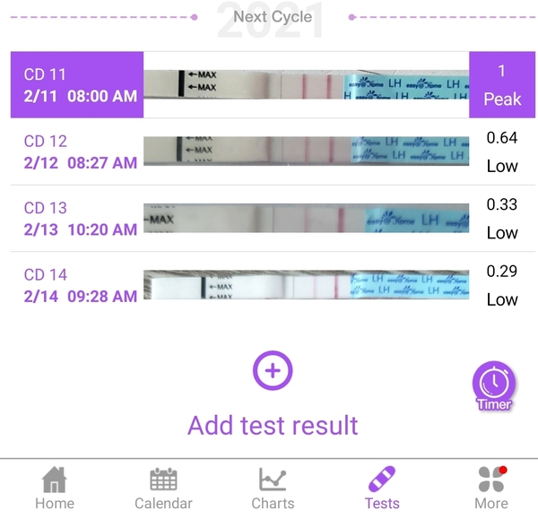 Easy at home ovulation tests