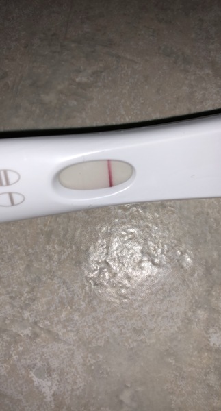 Conception