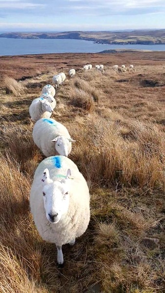 Week 5 - Low Carb Bootcamp - time to get rid of all the Valentine's treats!