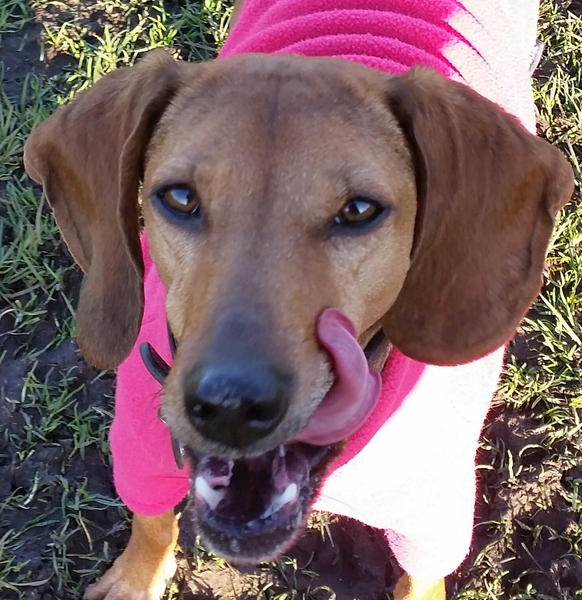 Best dog names you've ever come across