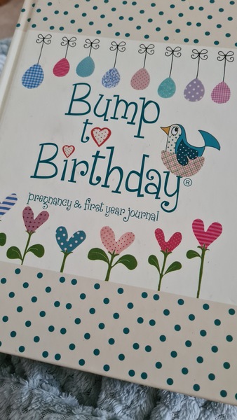 Baby record book