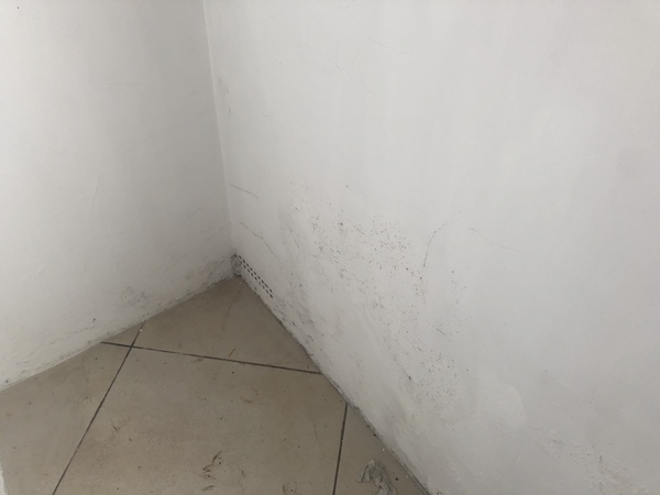 Damp - help I’ve had 5 different tradespeople tell me 5 different things