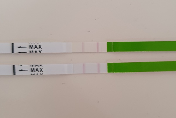 Positive OPK?