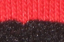 ADs picnic in the park with Twinkle the Tortoise