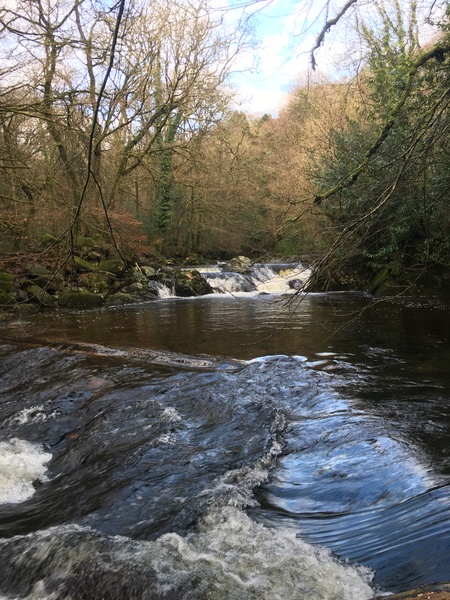 Any Witches here? Part 13