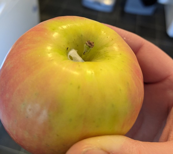 To ask if anyone knows what this thing is on my apple?