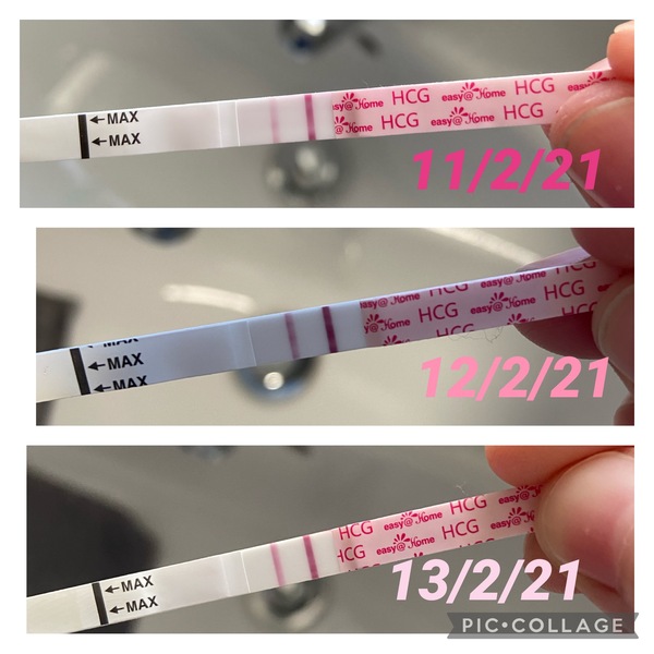 3 miscarriages in a row. Waiting on miscarriage clinic appointment