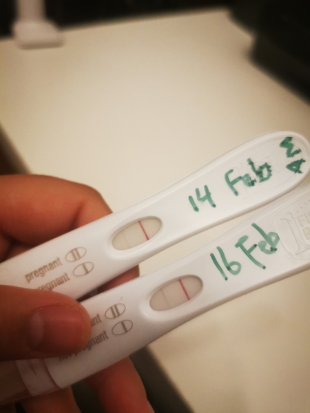 Does this look like good progression?